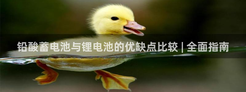 凯时在线平台官网