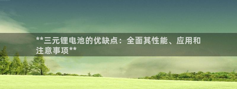 尊龙凯时提不了款：**三元锂电池的优缺点：全面其性能、应用和
注意事项**